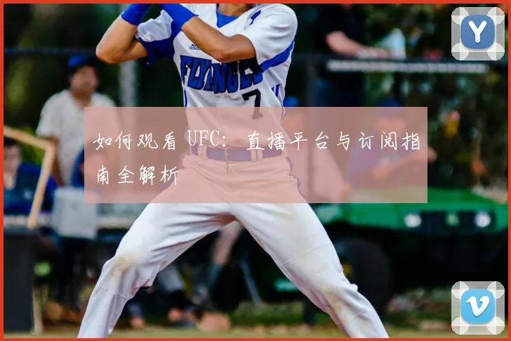 如何观看 UFC：直播平台与订阅指南全解析