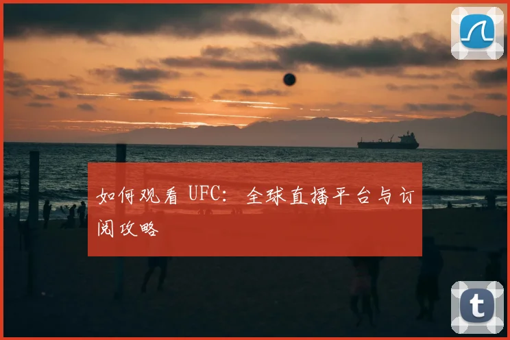 如何观看 UFC：全球直播平台与订阅攻略
