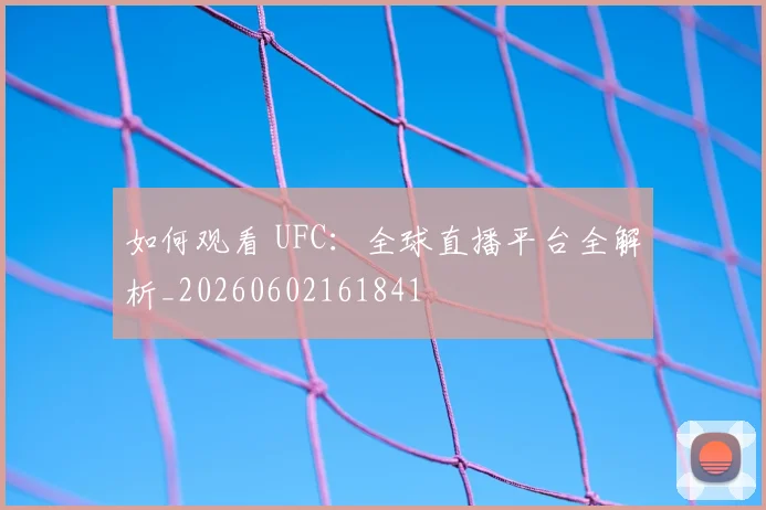 如何观看 UFC：全球直播平台全解析_20260602161841